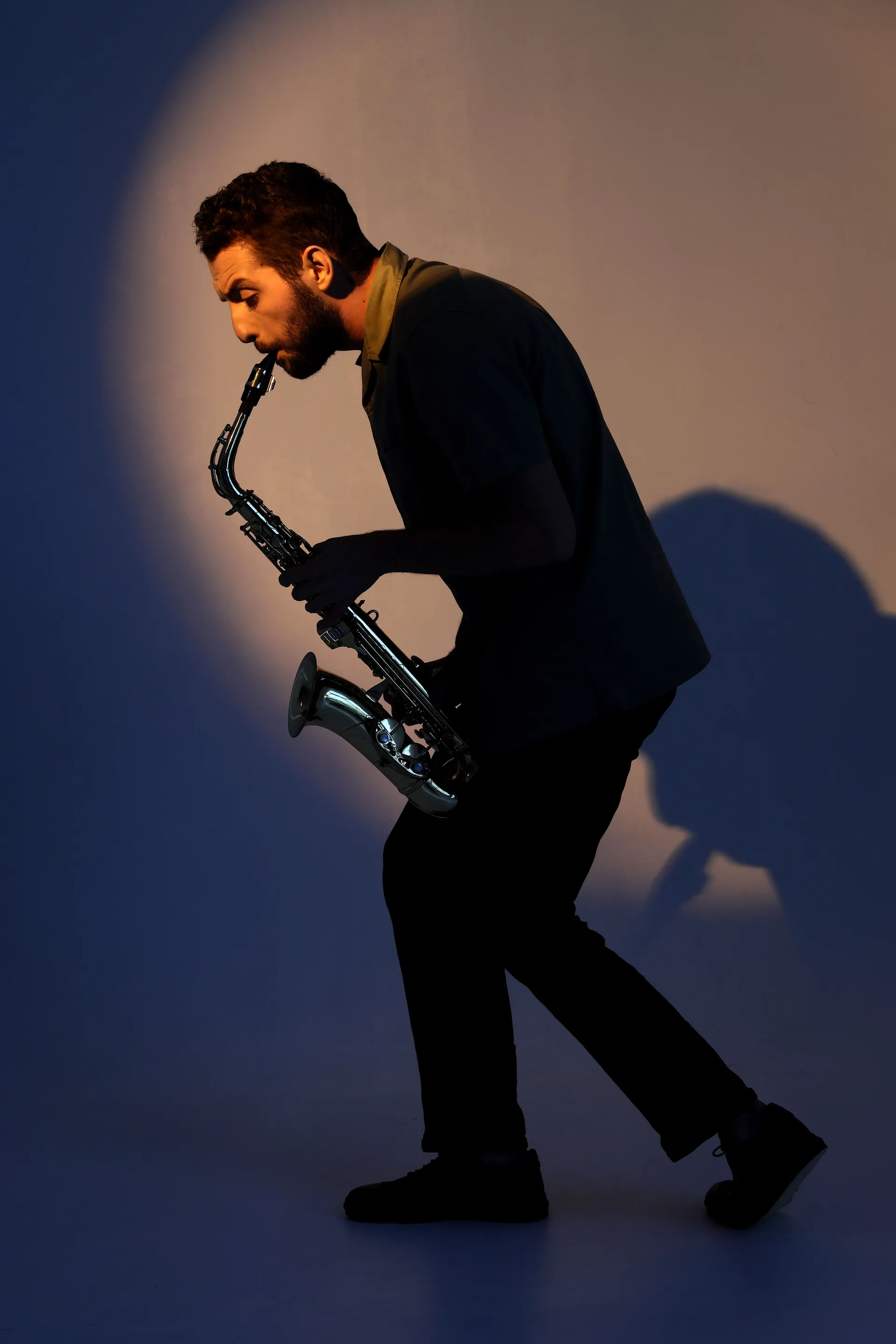 Musician