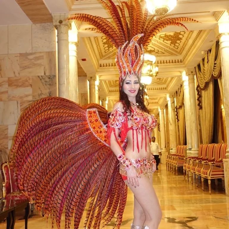 SAMBA/Brazilian carnivale 8